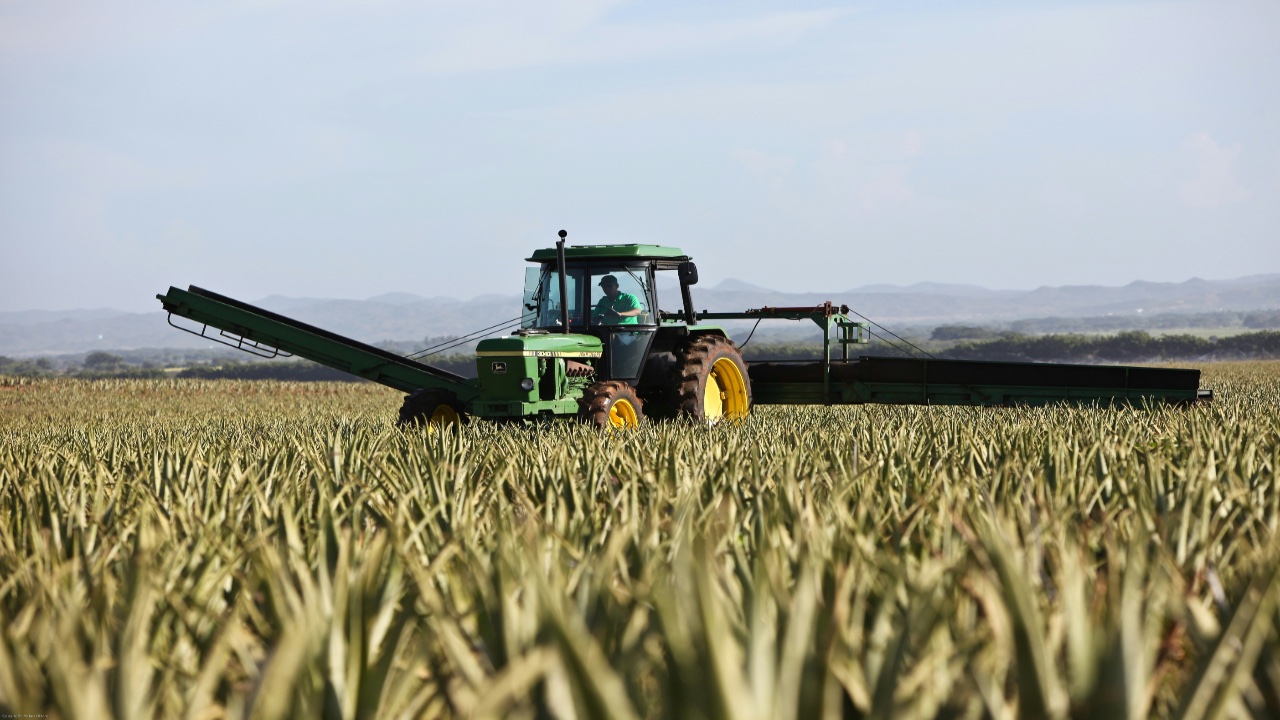 agribusiness_agriculture_agroprocessing_infsolutionx_ghana