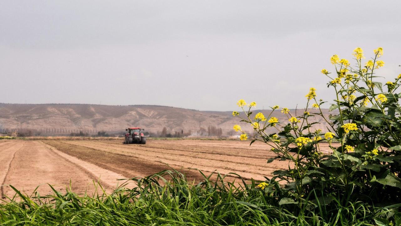 agribusiness_agriculture_agroprocessing_infsolutionx_ghana